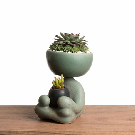 Robert Zen Jr // Green