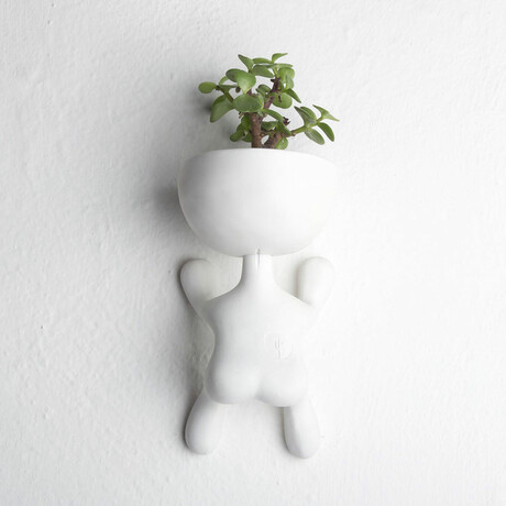 Roger Wall Set // White // Set Of 2