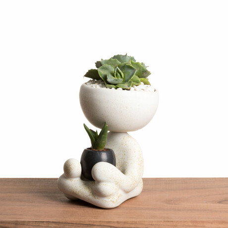 Robert Zen Jr // White