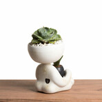 Robert Zen Jr // White