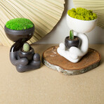 Robert Zen Jr // White