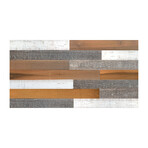 Brown/White/Gray Mixed Colors Wood Wall Planks (6 Planks // 10 sq. feet area)