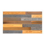Gold/Brown/Gray Mixed Colors Wood Wall Planks V2 (6 Planks // 10 sq. feet area)