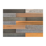 Brown/Black/Gray Mixed Colors Wood Wall Planks (6 Planks // 10 sq. feet area)