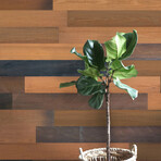 Brown Holey Wood Wall Planks (6 Planks // 10 sq. feet area)