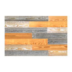 Gold/Whitewash/Gray Mixed Colors Wood Wall Planks (6 Planks // 10 sq. feet area)