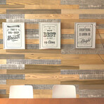 Gold/Brown/Gray Mixed Colors Wood Wall Planks V2 (6 Planks // 10 sq. feet area)