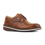 Benny Classic Shoes // Tobacco (Euro: 45)