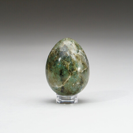 Genuine Polished Labradorite Egg With Acrylic Display Stand