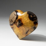 Genuine Polished Septarian Heart With Acrylic Display Stand