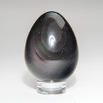 Genuine Rainbow Obsidian Egg With Acrylic Display Stand