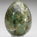 Genuine Polished Labradorite Egg With Acrylic Display Stand