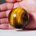 Genuine Polished Tiger's Eye Sphere With Acrylic Display Stand