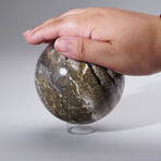 Genuine Polished Ocean Jasper Sphere With Acrylic Display Stand