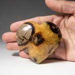 Genuine Polished Septarian Heart With Acrylic Display Stand