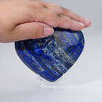 Genuine Polished Lapis Lazuli Heart With Acrylic Display Stand // 1.3lb