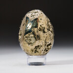 Genuine Polished Pyrite Egg With Acrylic Display Stand