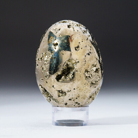 Genuine Polished Pyrite Egg With Acrylic Display Stand