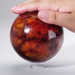 Genuine Polished Carnelian Sphere With Acrylic Display Stand