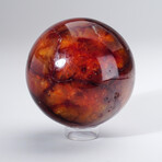 Genuine Polished Carnelian Sphere With Acrylic Display Stand