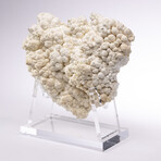 Moroccan Aragonite + Custom Acrylic Base