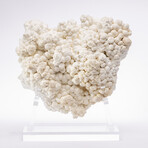 Moroccan Aragonite + Custom Acrylic Base