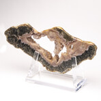 Large Brazilian Agate Slab + Custom Acrylic Stand V2