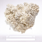 Moroccan Aragonite + Custom Acrylic Base