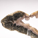 Large Brazilian Agate Slab + Custom Acrylic Stand V2