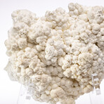 Moroccan Aragonite + Custom Acrylic Base