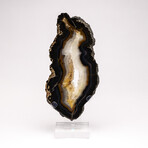 Brazilian Agate Slab + Custom Acrylic Stand
