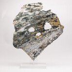 Australian Orbicular Jasper Slab + Custom Acrylic Base