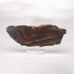 Large Gold Tiger Iron Slab From South Africa + Custom Acrylic Stand // 6lb