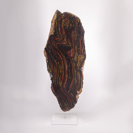 Large Gold Tiger Iron Slab From South Africa + Custom Acrylic Stand // 8lb