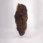 Large Gold Tiger Iron Slab From South Africa + Custom Acrylic Stand // 8lb