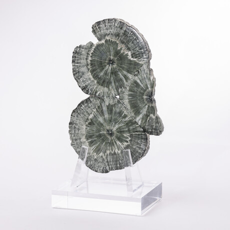 Seraphinite Specimen + Custom Acrylic Base