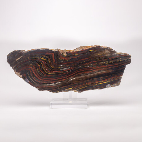 Large Gold Tiger Iron Slab From South Africa + Custom Acrylic Stand // 6lb