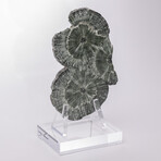 Seraphinite Specimen + Custom Acrylic Base