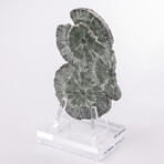 Seraphinite Specimen + Custom Acrylic Base