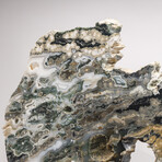 Australian Orbicular Jasper Slab + Custom Acrylic Base