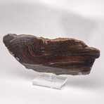 Large Gold Tiger Iron Slab From South Africa + Custom Acrylic Stand // 6lb