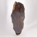 Large Gold Tiger Iron Slab From South Africa + Custom Acrylic Stand // 8lb