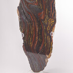 Large Gold Tiger Iron Slab From South Africa + Custom Acrylic Stand // 8lb