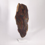 Large Gold Tiger Iron Slab From South Africa + Custom Acrylic Stand // 8lb