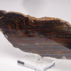 Large Gold Tiger Iron Slab From South Africa + Custom Acrylic Stand // 6lb