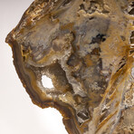 Large Brazilian Agate Slab + Custom Acrylic Stand V1