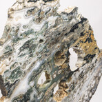 Australian Orbicular Jasper Slab + Custom Acrylic Base