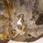 Large Brazilian Agate Slab + Custom Acrylic Stand V1