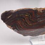 Large Gold Tiger Iron Slab From South Africa + Custom Acrylic Stand // 6lb