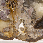 Large Brazilian Agate Slab + Custom Acrylic Stand V1